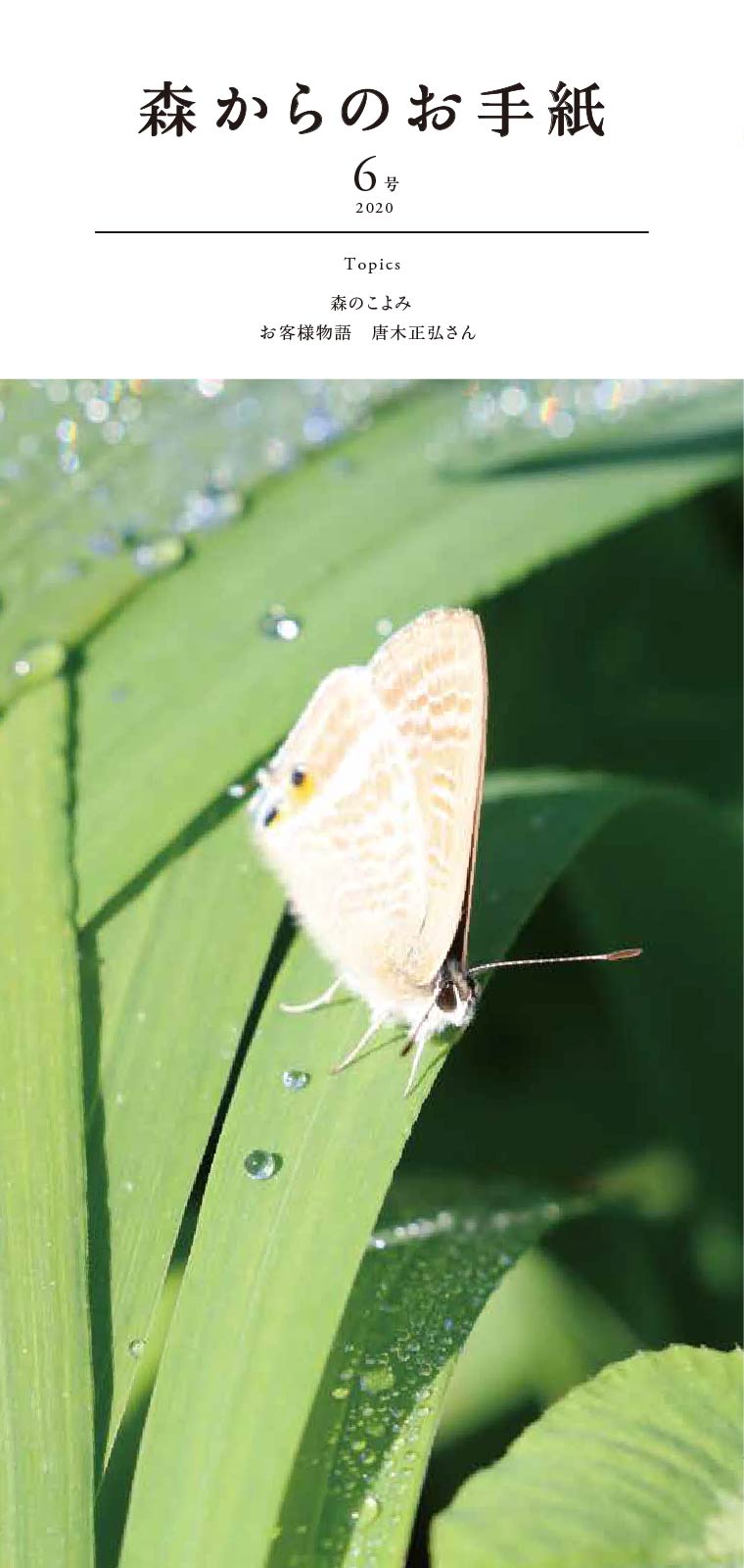 森からのお手紙6号