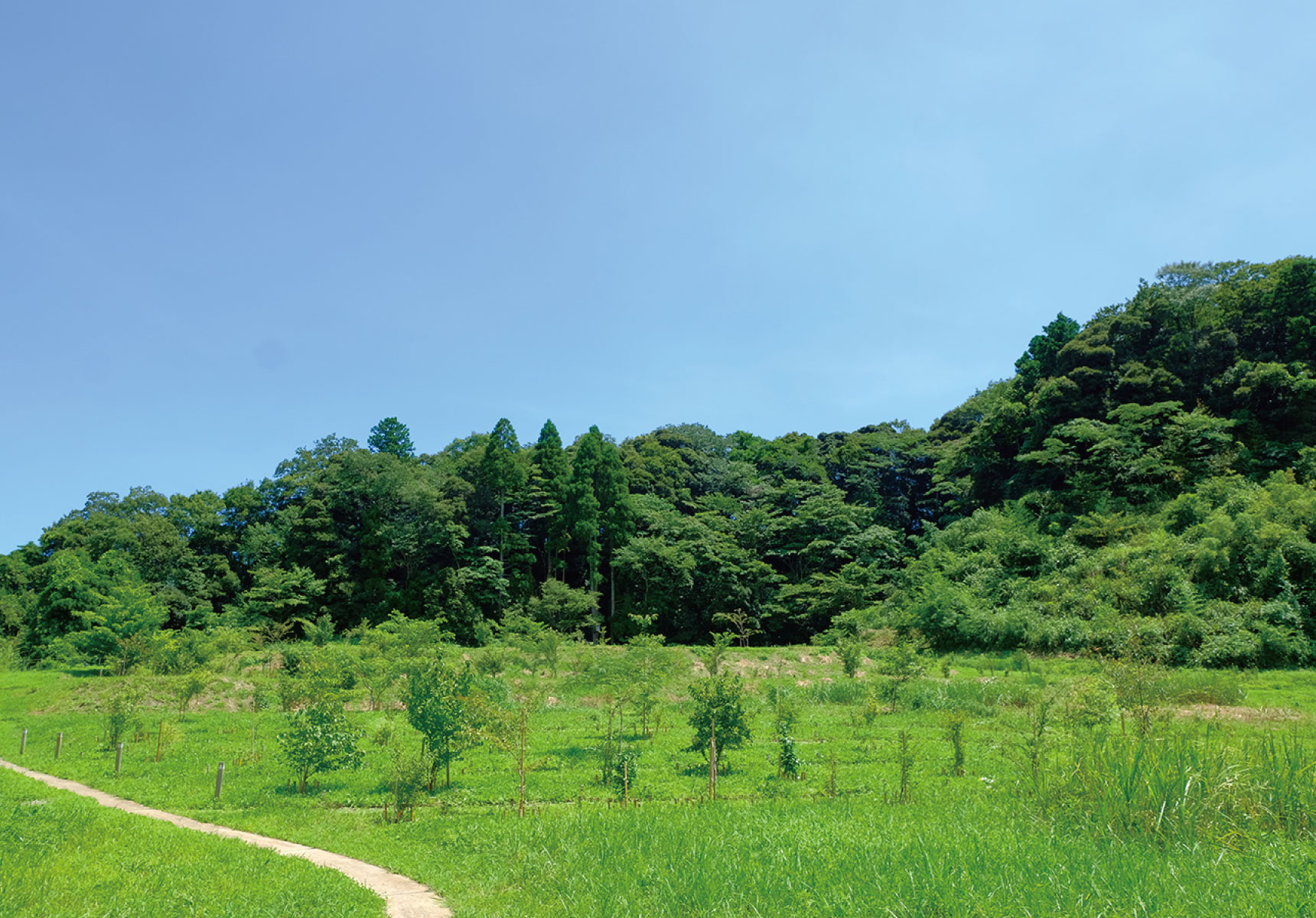 森の墓苑風景